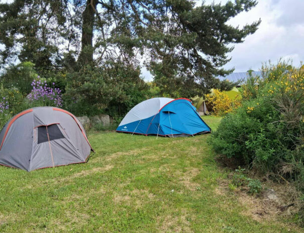 fermedevovady-hebergement-camping-carrousel-1