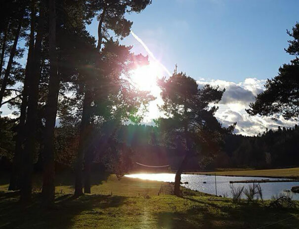 fermedevovady-hebergement-camping-carrousel-4