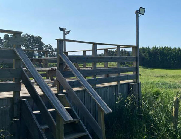 fermedevovady-hebergement-lovnid-caroussel-11