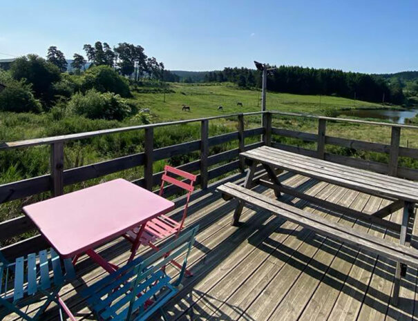fermedevovady-hebergement-lovnid-caroussel-13