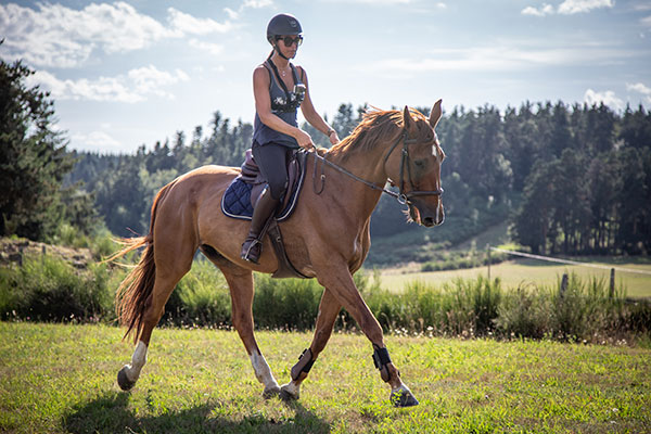 fermedevovady-accueil-caroussel-equestre-maeva
