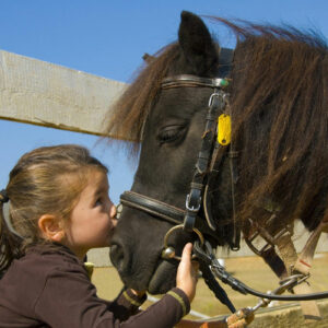 Bon Cadeau Equestre