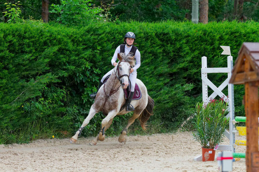 fermedevovady-centre-equestre-competition-1