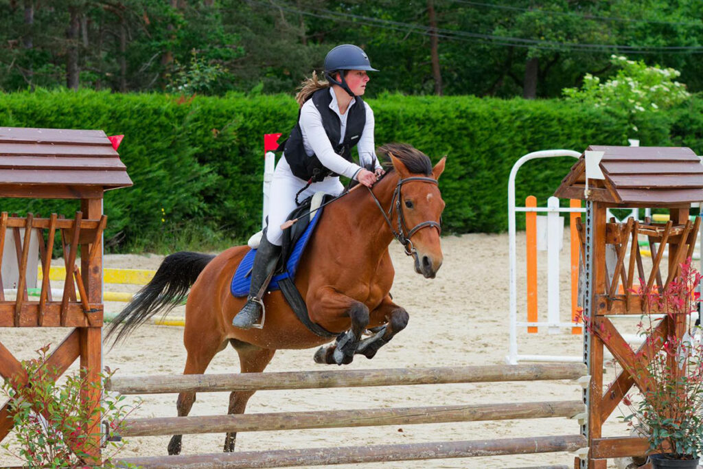 fermedevovady-centre-equestre-competition-3