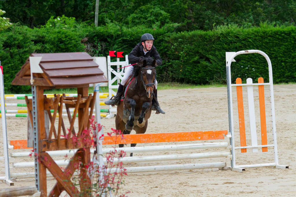 fermedevovady-centre-equestre-competition-4
