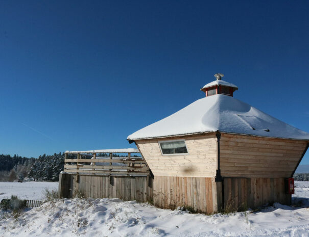 fermedevovady-hebergement-cabane-lovnid-caroussel-exterieur-1