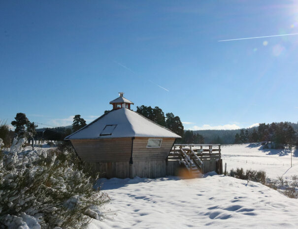 fermedevovady-hebergement-cabane-lovnid-caroussel-exterieur-2