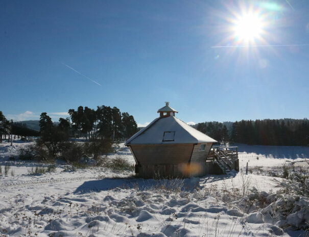 fermedevovady-hebergement-cabane-lovnid-caroussel-exterieur-3