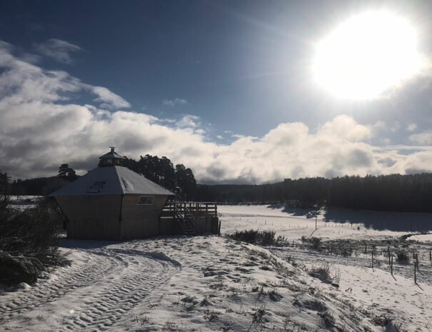 fermedevovady-hebergement-cabane-lovnid-caroussel-exterieur-6