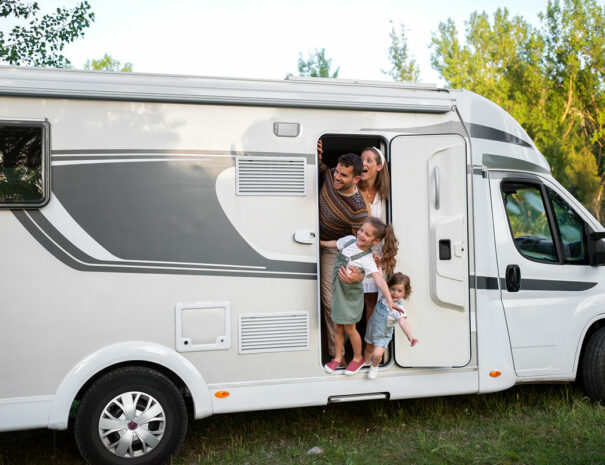 fermedevovady-hebergement-campingcar-caroussel-exterieur-2