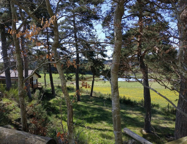 fermedevovady-hebergement-chalet-larchrysalide-caroussel-exterieur-1