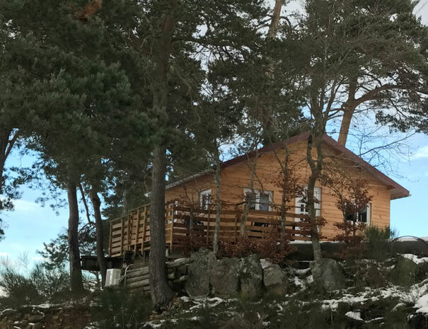 fermedevovady-hebergement-chalet-larchrysalide-caroussel-exterieur-3