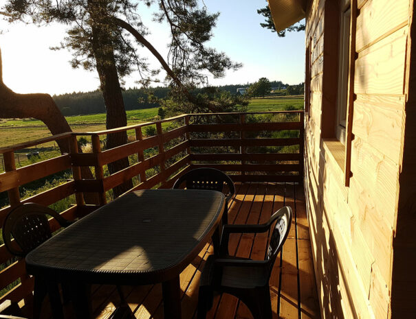 fermedevovady-hebergement-chalet-larchrysalide-caroussel-terrasse-1