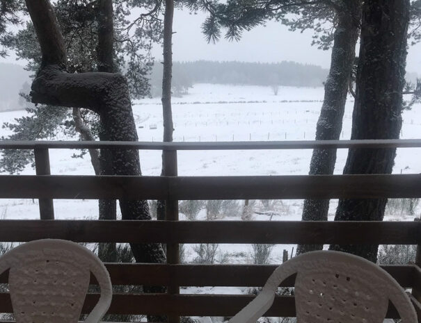 fermedevovady-hebergement-chalet-larchrysalide-caroussel-terrasse-2