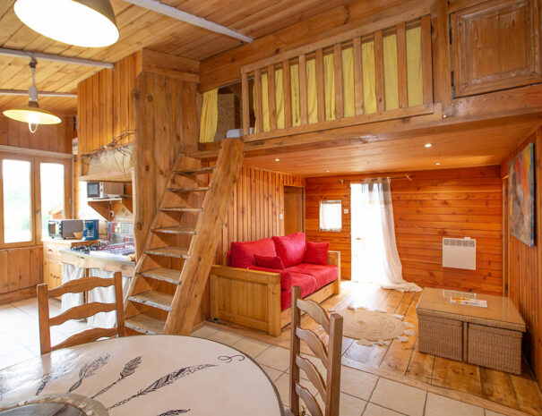 fermedevovady-hebergement-chalet-larosedesvents-caroussel-salon-1