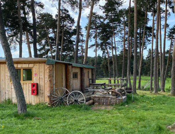 fermedevovady-hebergement-chalet-lemeleze-caroussel-exterieur-1