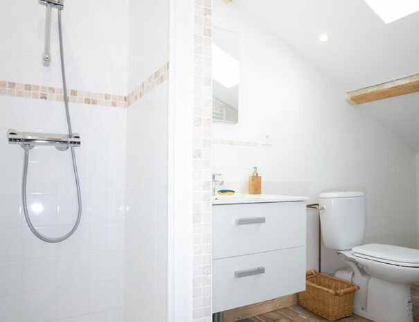 fermedevovady-hebergement-gite-caroussel-douche