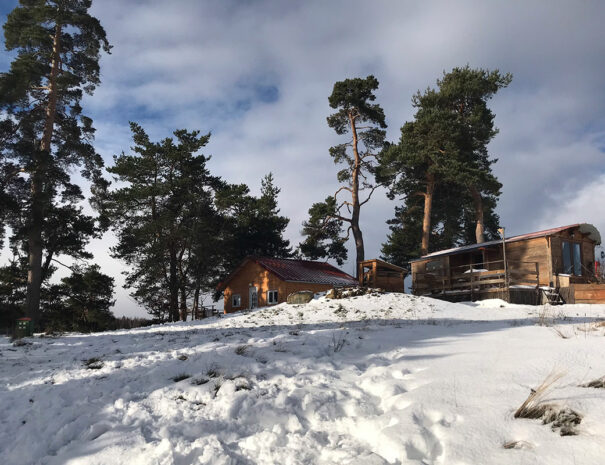 fermedevovady-hebergement-roulotte-laboheme-caroussel-exterieur-1