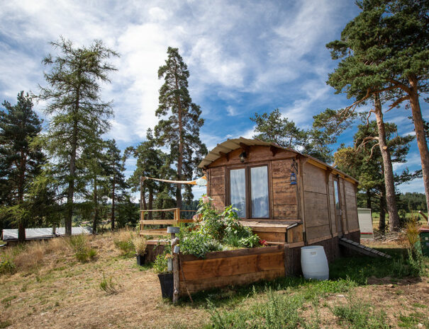 fermedevovady-hebergement-roulotte-laboheme-caroussel-exterieur-2