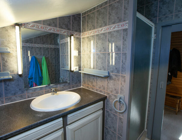 fermedevovady-hebergement-studio-caroussel-douche