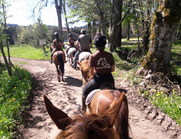 fermedevovady-randonnee-caroussel-5